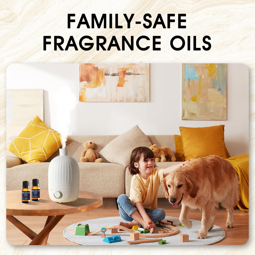 ABAMERICA Home diffusion use-case illustrates versatile aroma in living rooms.