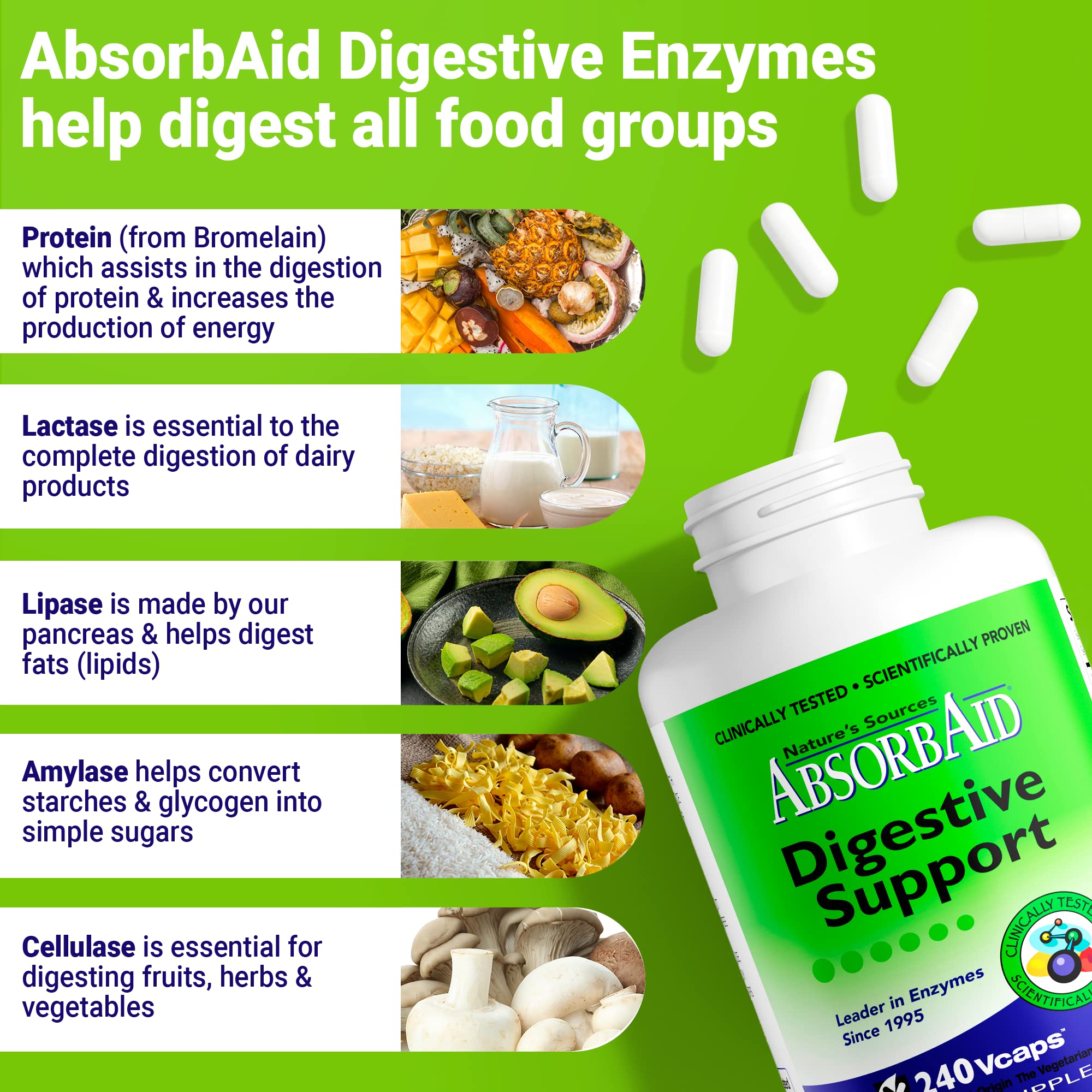 AbsorbAid side-view bottle highlighting compact design for travel-friendly digestion support
