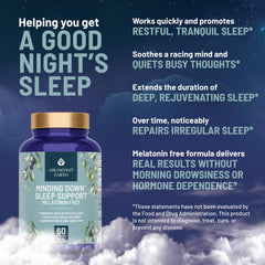 Abundant Earth Jujube-Glycine ingredients panel highlights traditional calm ingredients