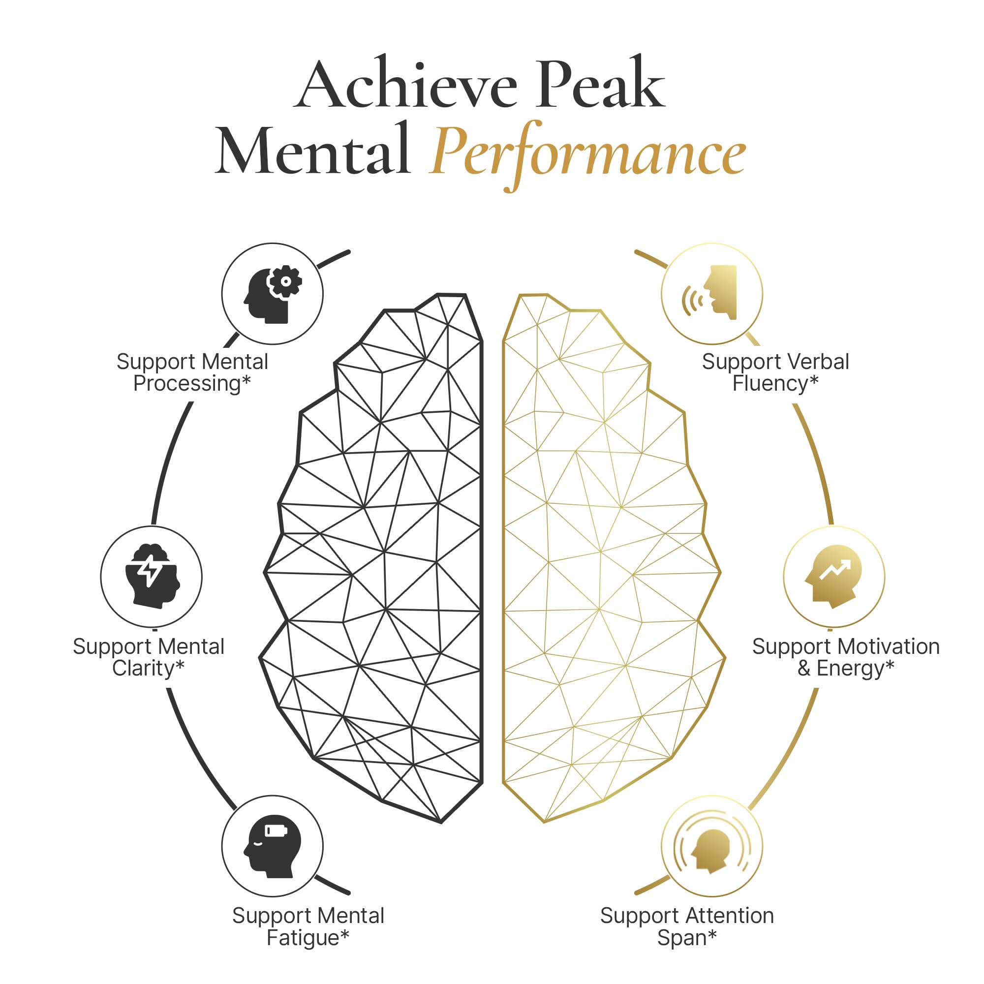 ACEWORKZ Elite Brain capsules close-up highlighting memory and clarity support