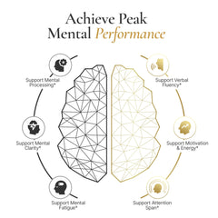 ACEWORKZ Elite Brain capsules close-up highlighting memory and clarity support