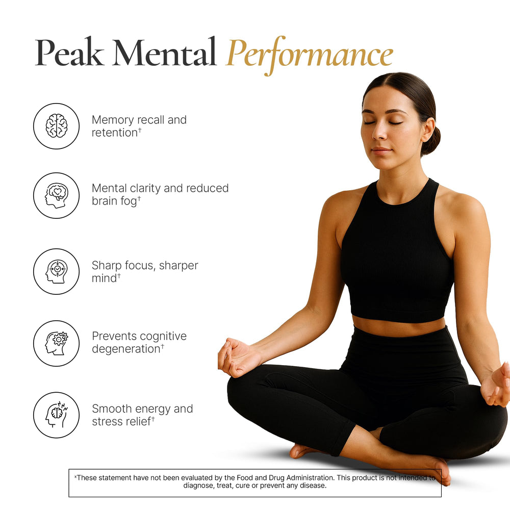 ACEWORKZ Mushroom Complex capsules for convenient daily cognitive stamina.