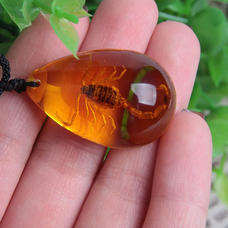 Vintage amber-scorpion pendant ideal for collectors and fashion lovers