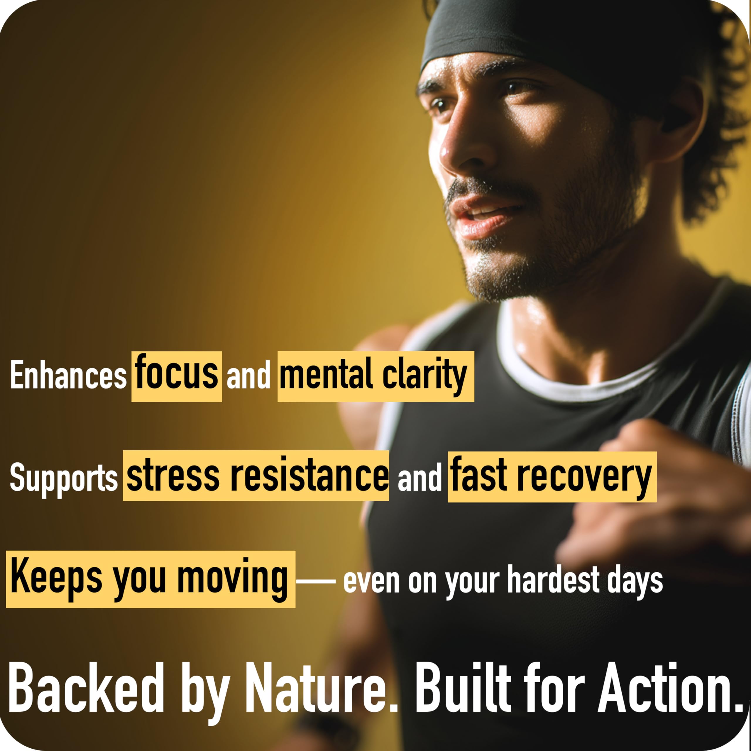 ad hoc rhodiola shilajit gummies: designed for stress resilience and steady mood