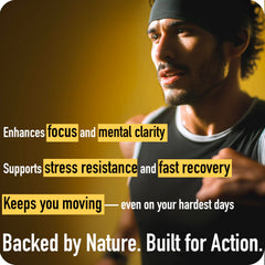 ad hoc rhodiola shilajit gummies: designed for stress resilience and steady mood
