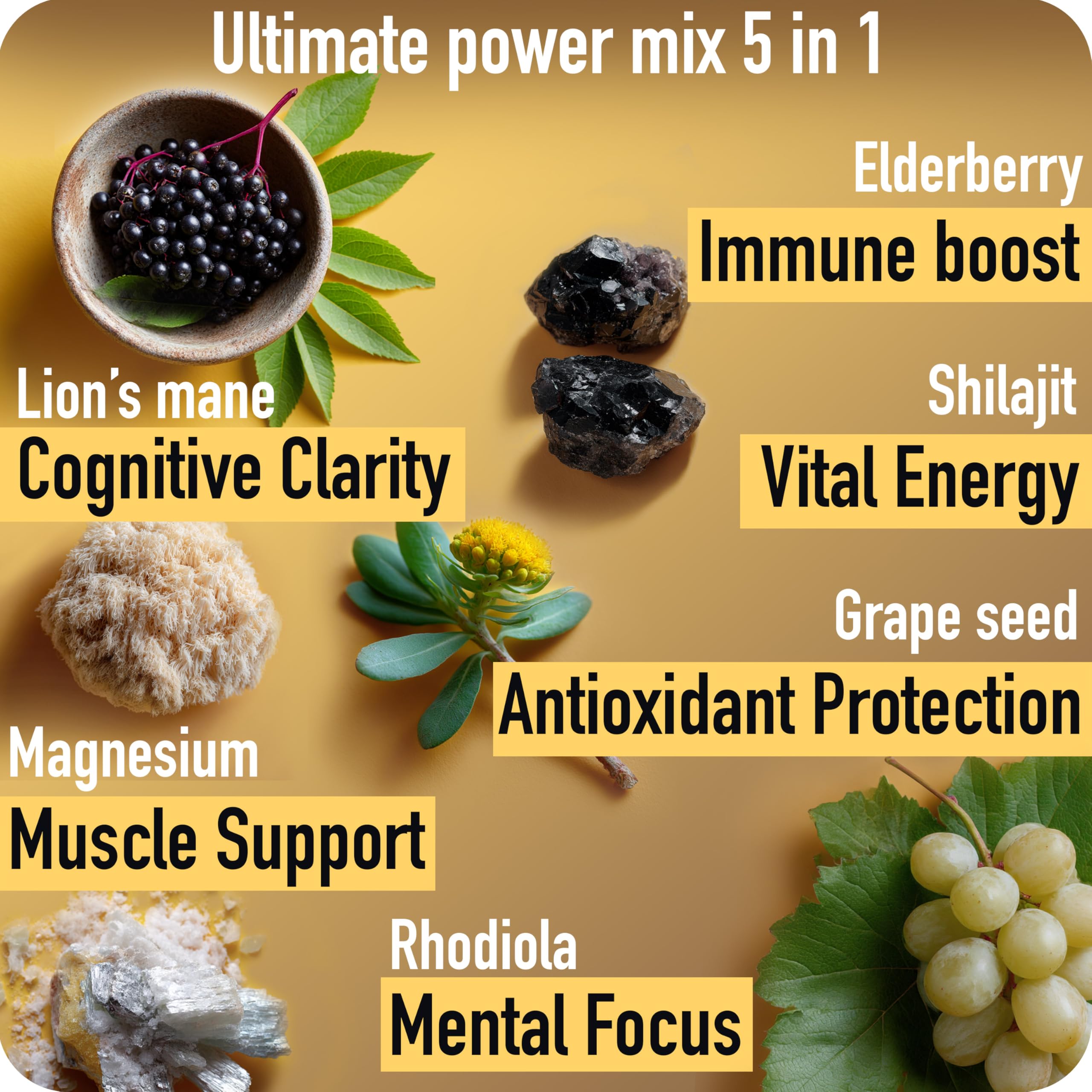 ad hoc shilajit gummies ingredients panel: magnesium, lion's mane, rhodiola for focus and stamina