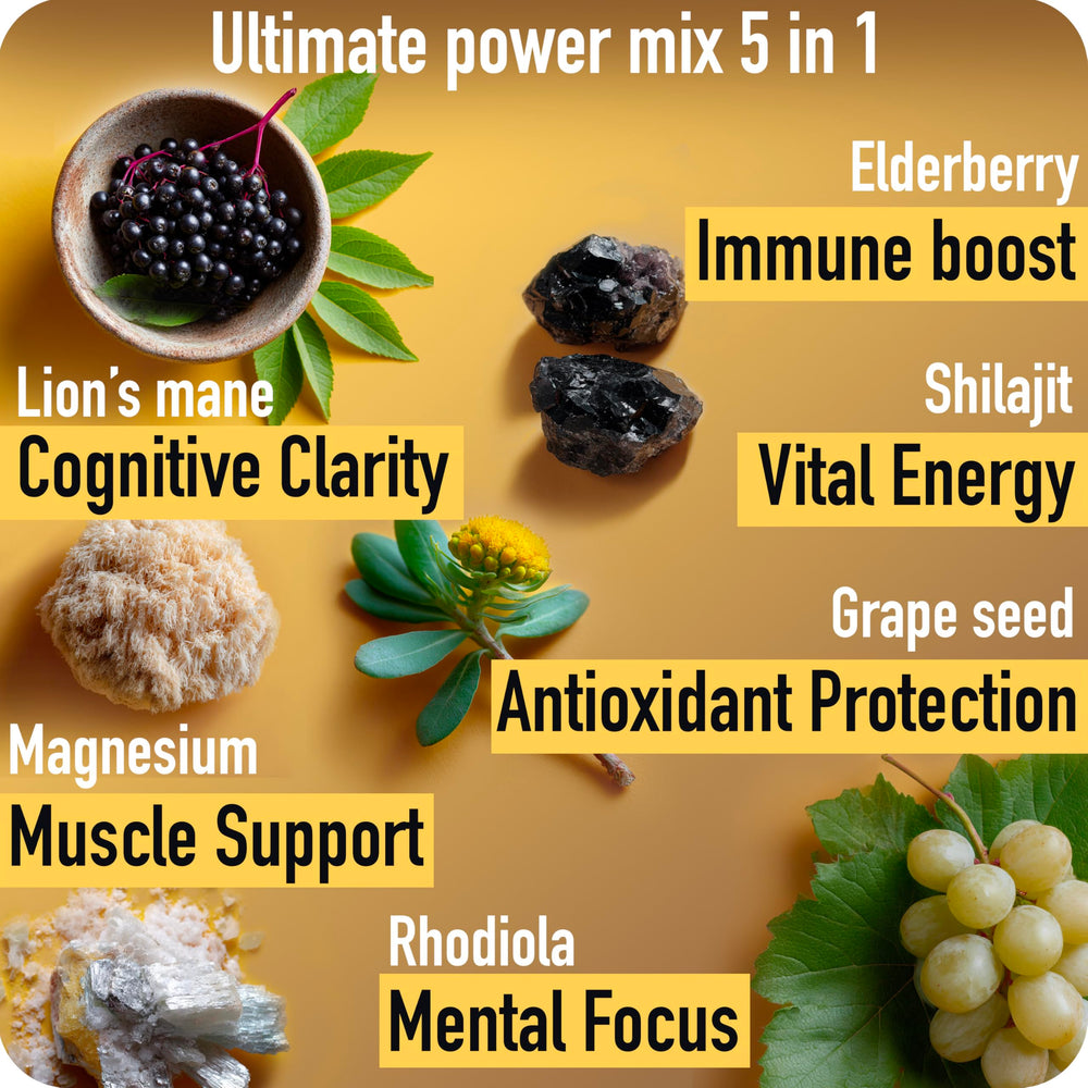 ad hoc shilajit gummies ingredients panel: magnesium, lion's mane, rhodiola for focus and stamina