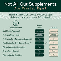 Adapt Naturals 4-in-1 ingredients polyphenols emphasis on plant-based antioxidants.