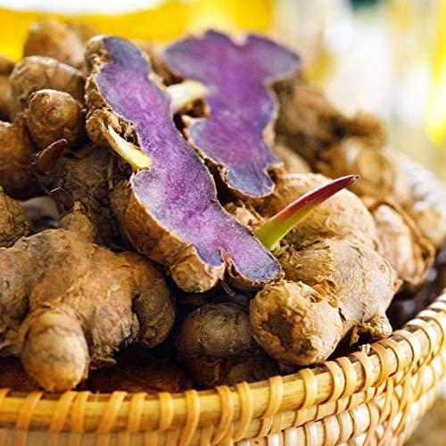 Addictive Wellness Black Ginger packaging shot with product details