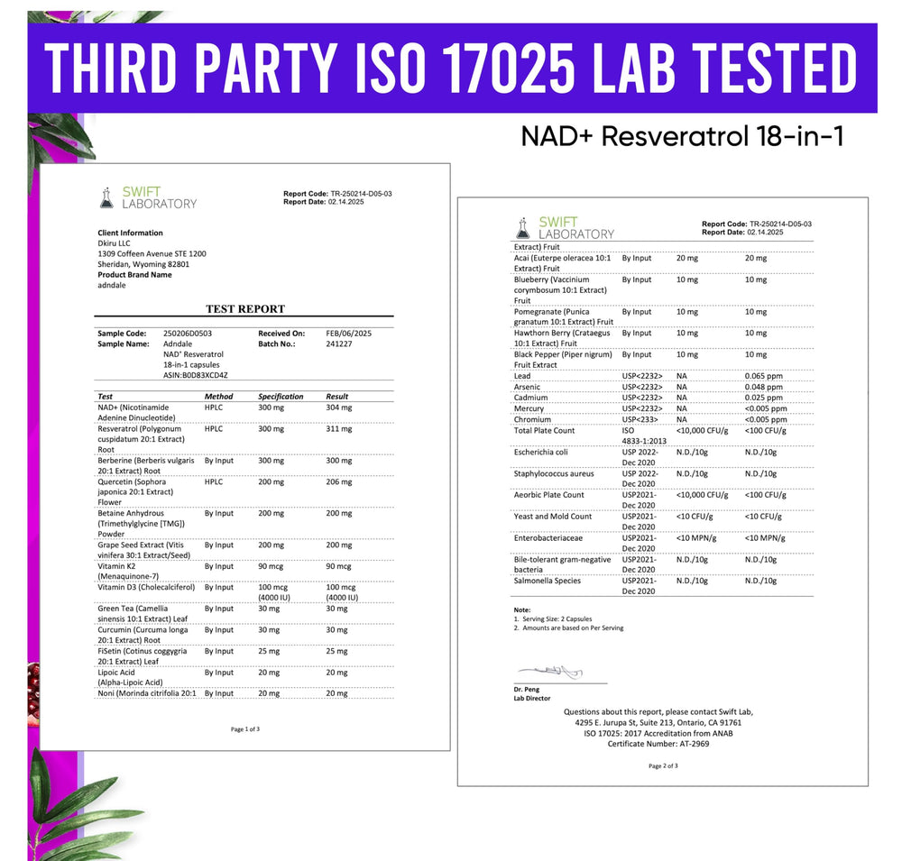 Adndale NAD Resveratrol liposomal technology graphic underscores improved nutrient delivery.