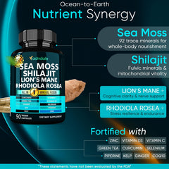 Adndale True Sea Moss Capsules close-up showing texture for vitality.