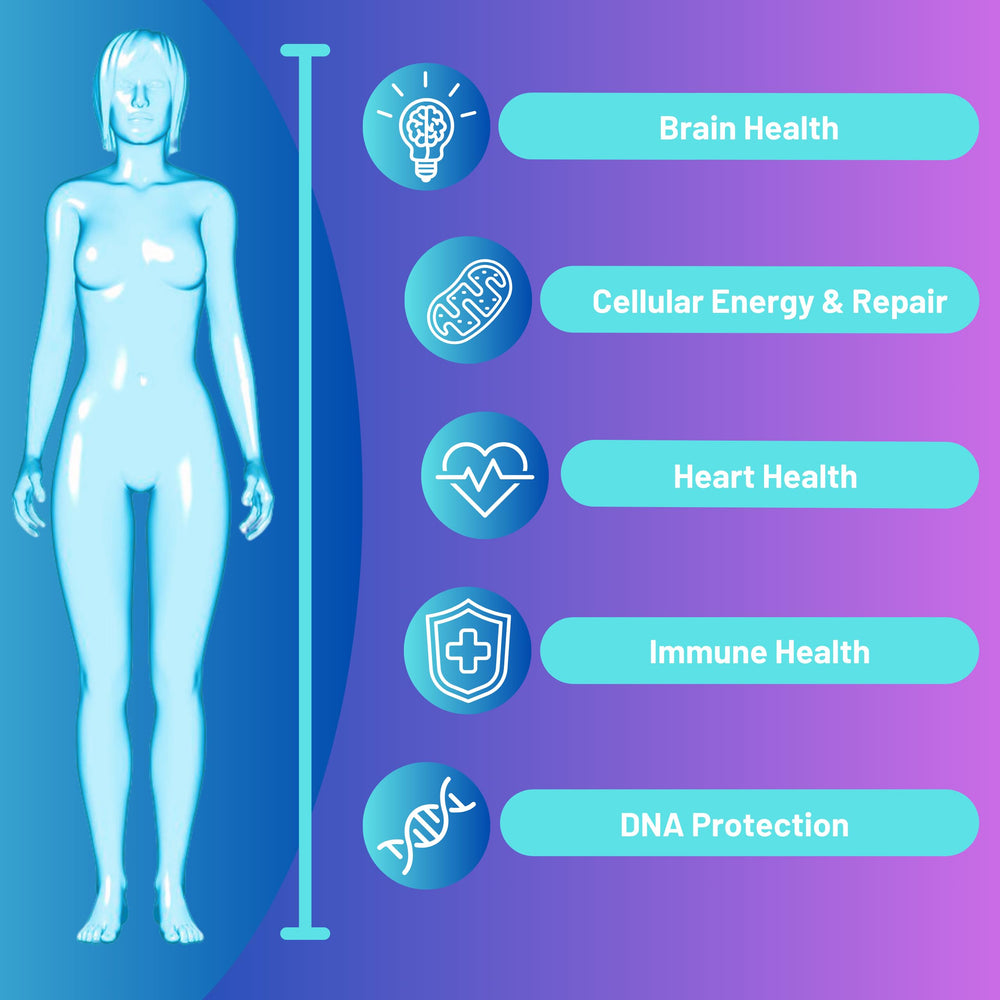 Advanced Bionetix NAD NR capsules ready for your morning routine