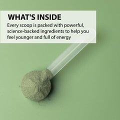 Ingredients label shows 50+ superfoods for a nutrient-dense blend.
