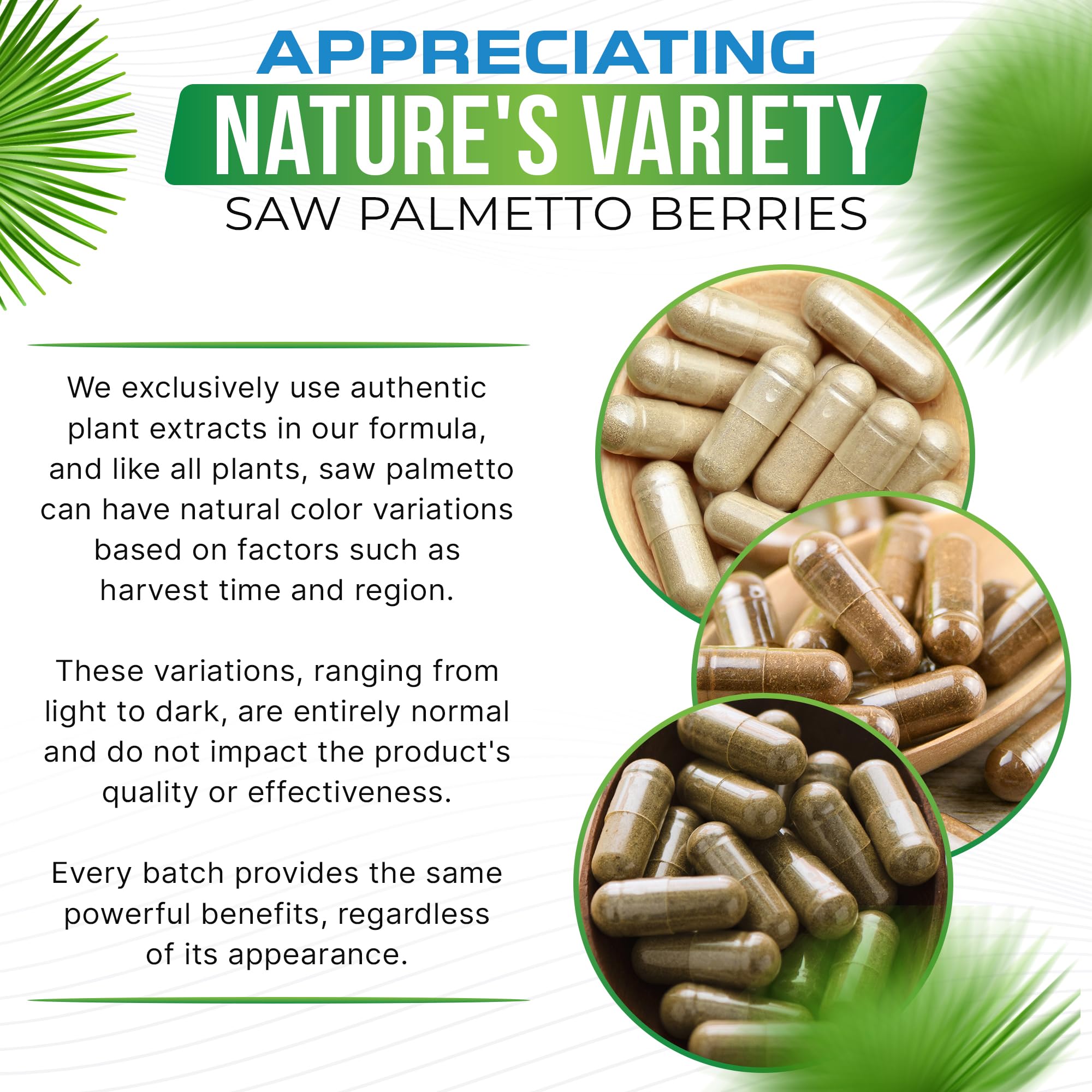 Advanced Nutrition Labs GMP certified facility label reinforcing purity and safety