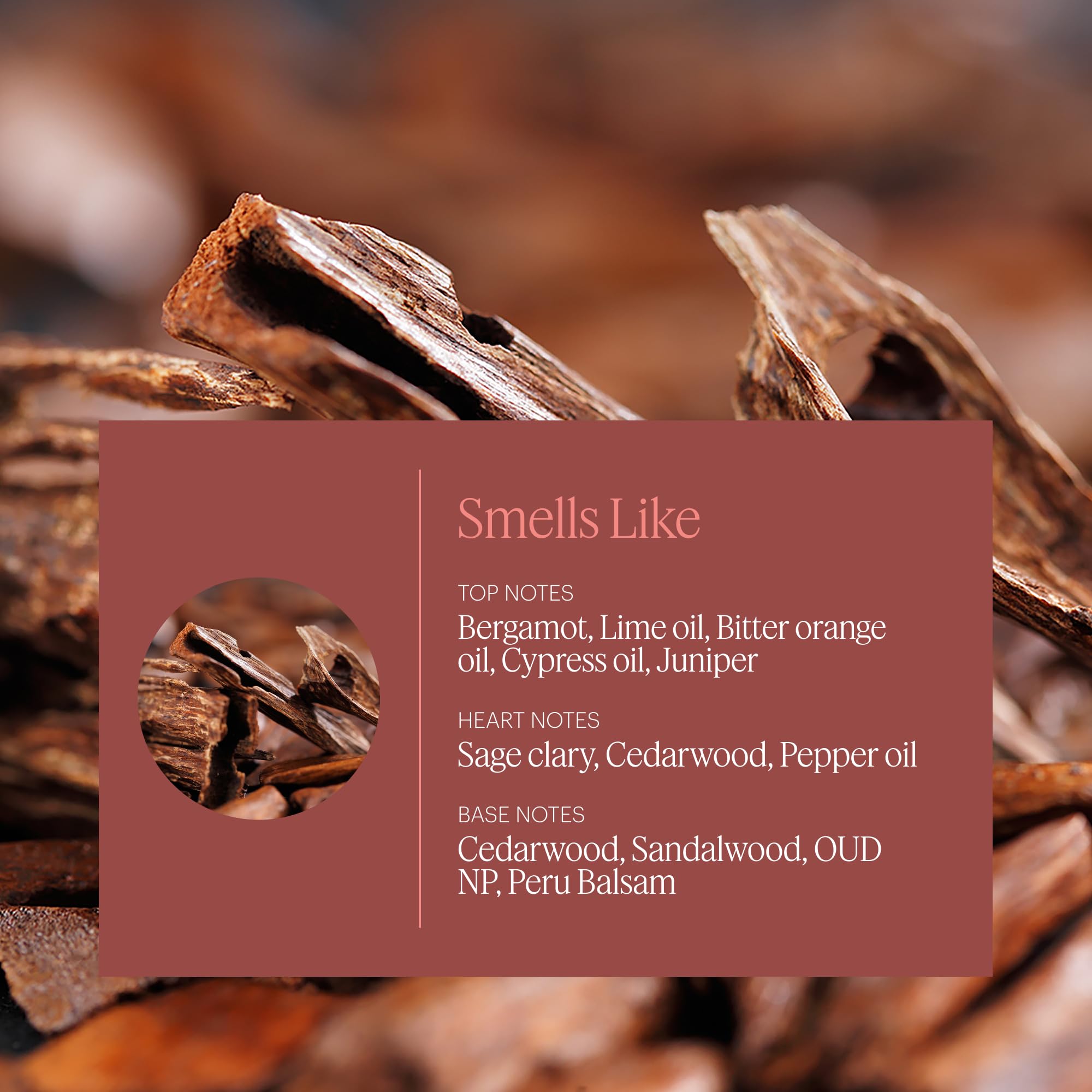 Aera Mini Sandalwood close-up notes emphasize warm sandalwood and citrus balance.