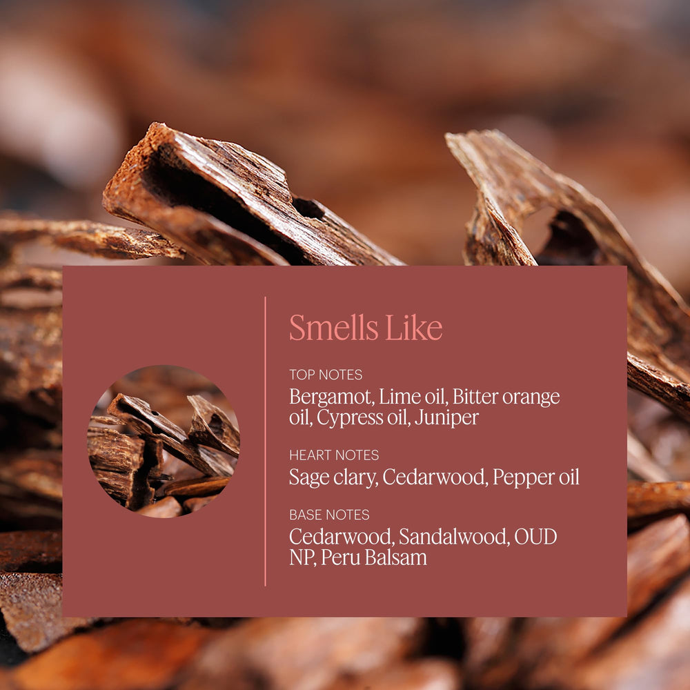 Aera Mini Sandalwood close-up notes emphasize warm sandalwood and citrus balance.