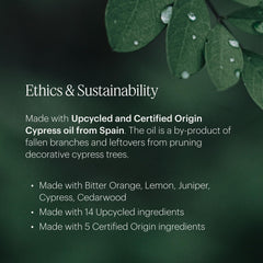 Aera Mini Sandalwood eco packaging highlights sustainable sourcing and origin.