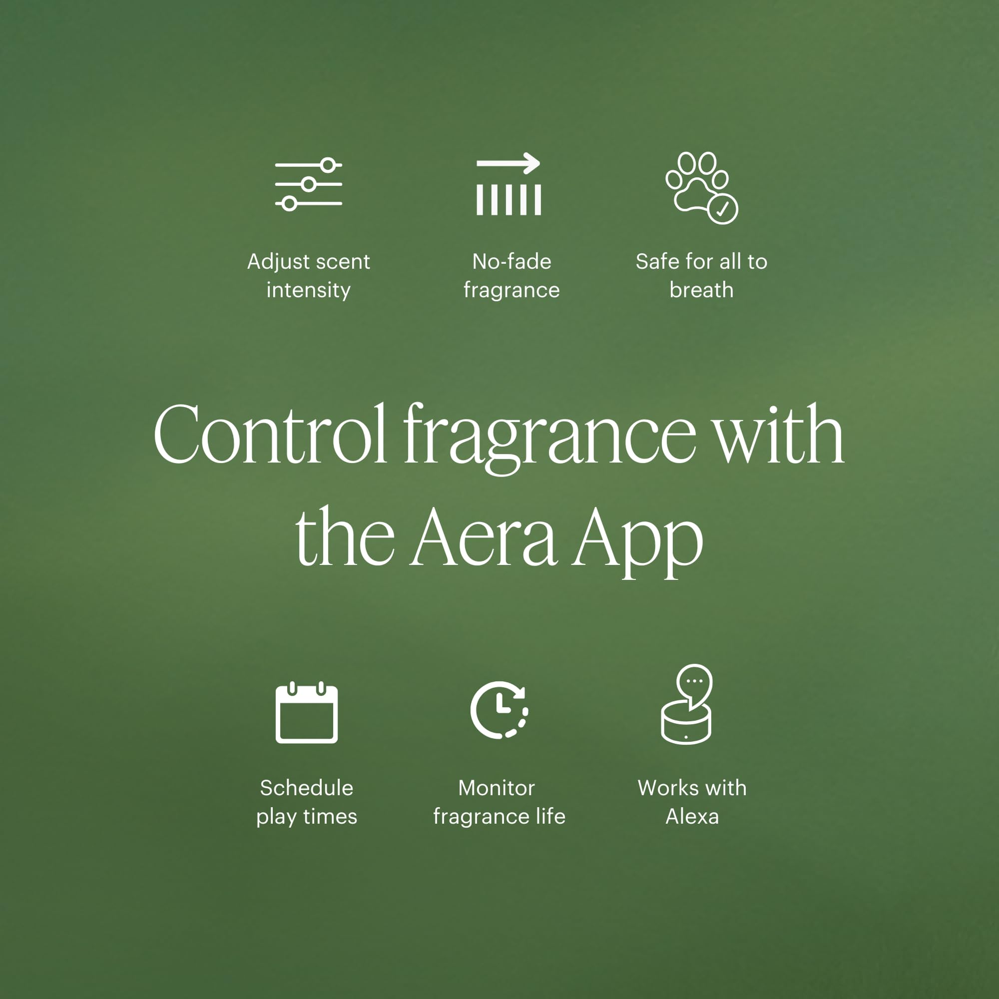 Aera Mini Snowfall essential oils indicate a refreshing pine-forward aroma