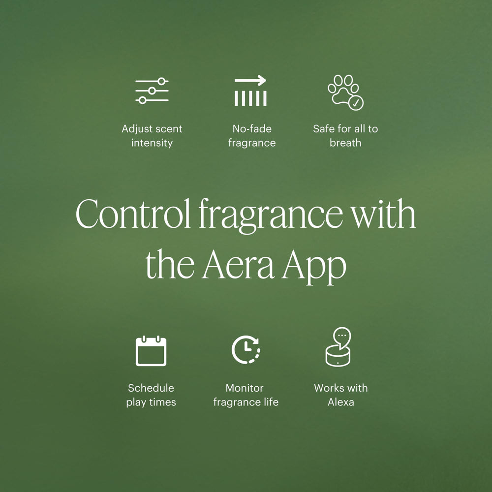 Aera Mini Snowfall essential oils indicate a refreshing pine-forward aroma