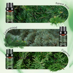 Aeshory cedro 10ml para difusor en sala de estar.