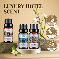 Aeshory diffuser oils closeup bottle labels highlight premium blends for refined spaces.