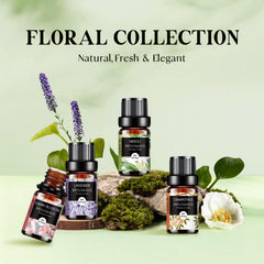 Aeshory Floral Oils Rose: Delicate bloom ideal for romance and DIY blends