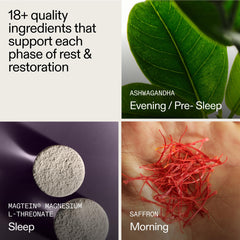 AG1 AGZ Sleep Drink Sampler chocolate flavor with cocoa notes