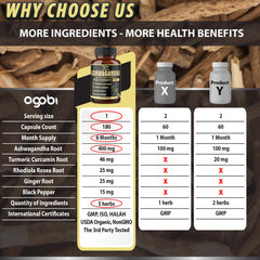 agobi turmeric roots evoke warm aroma and spice focus
