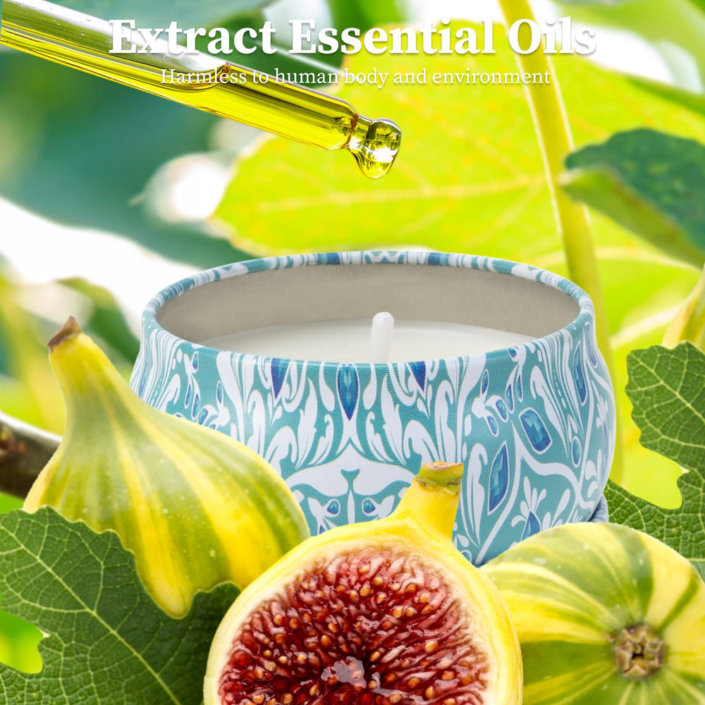 AGOL scented candles living room ambiance for cozy relaxation