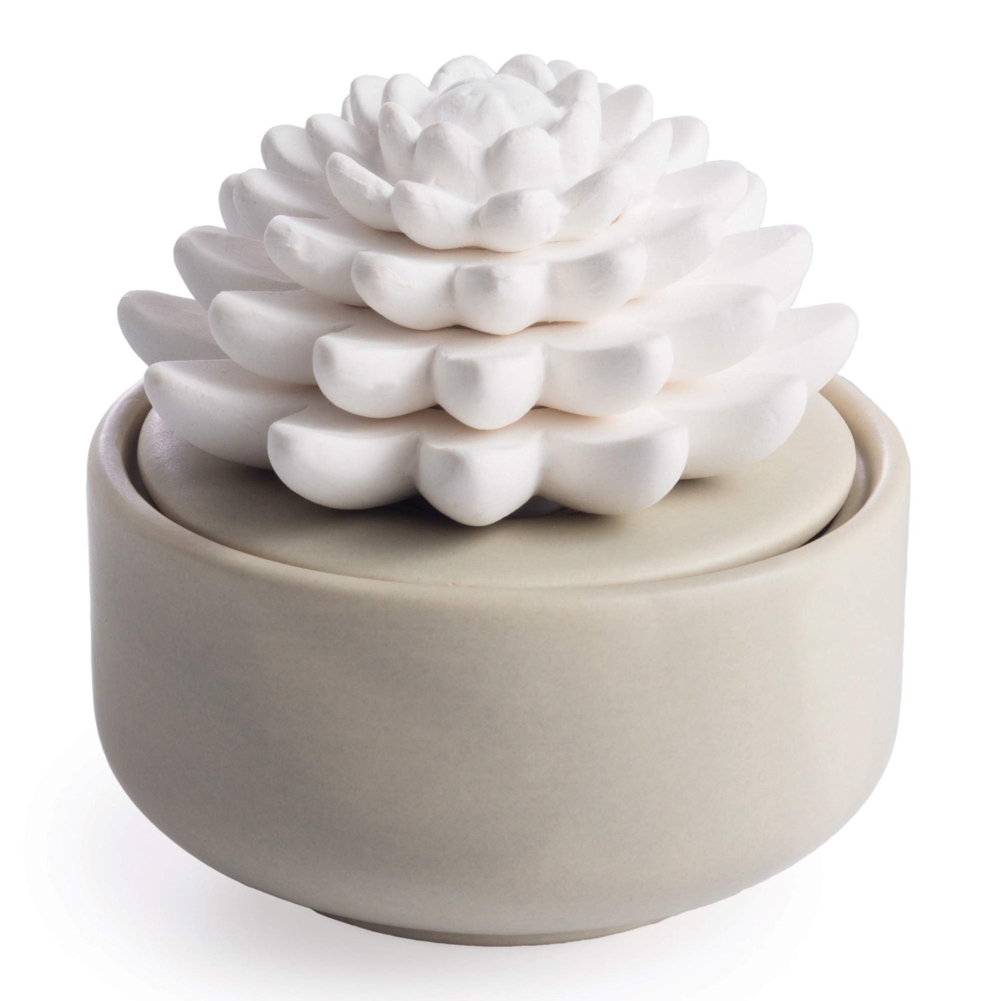 Airomé White Succulent diffuser base for silent fragrance diffusion in small spaces.