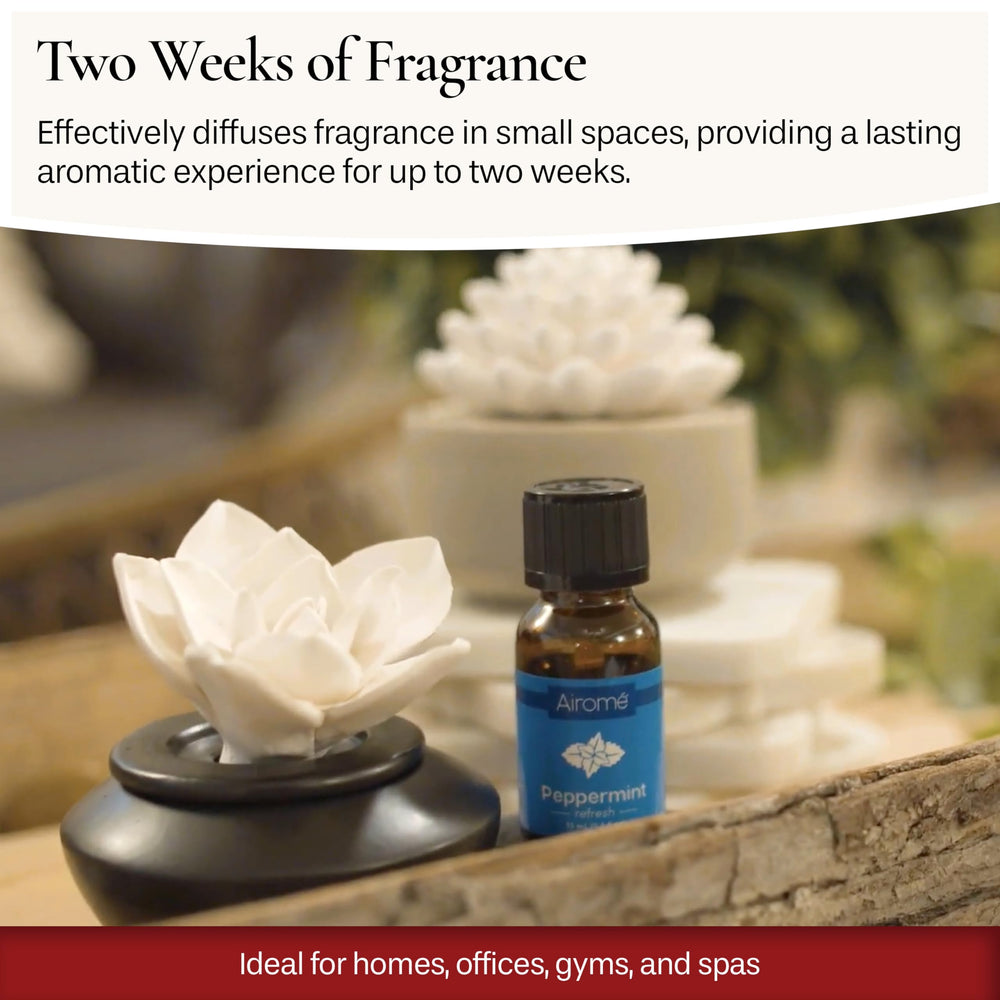 Airomé White Succulent diffuser with 15ml oil bottle ready to start aromatherapy.