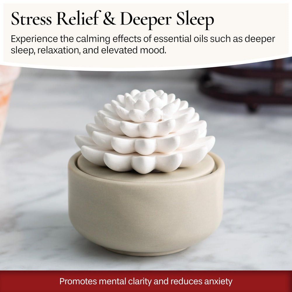 Airomé White Succulent diffuser porcelain finish complements modern decor.