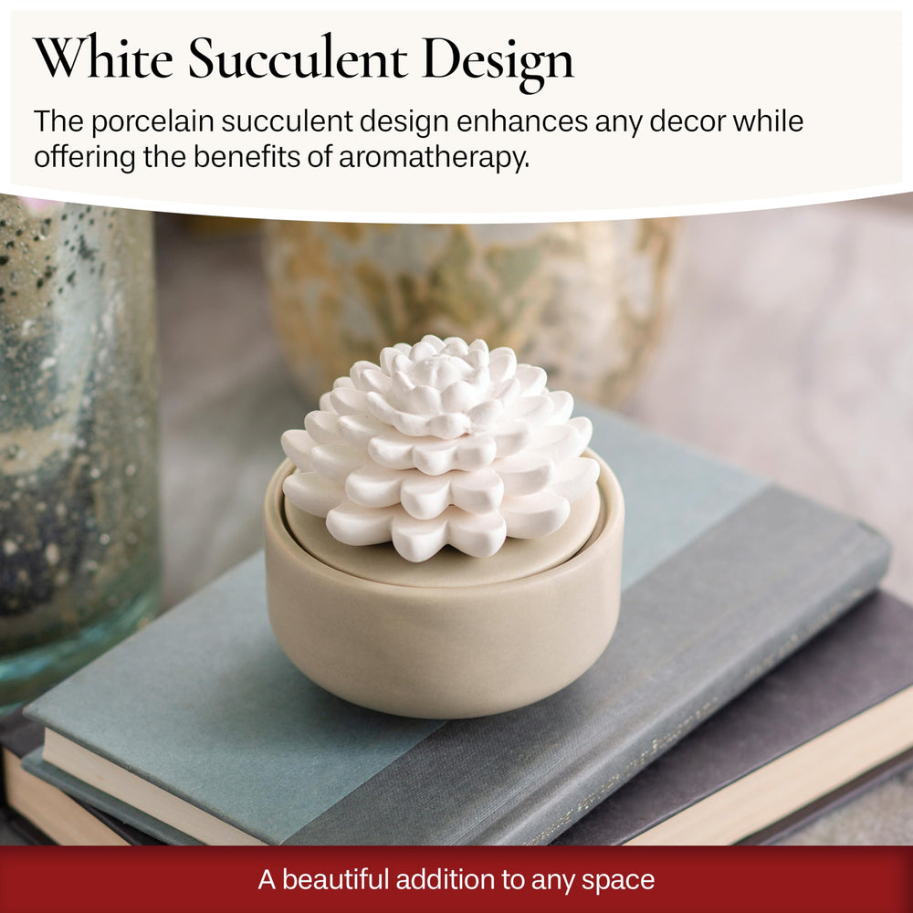 Airomé White Succulent diffuser in a cozy space enhances mood and ambience.