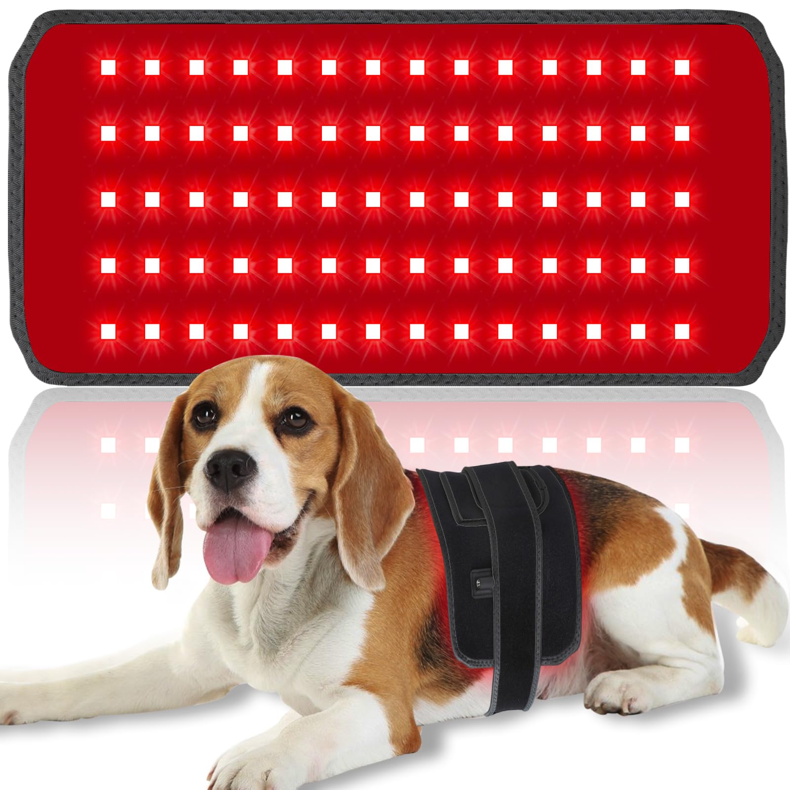 AIWOXING red light therapy belt on a dog, front view, supports joint comfort.