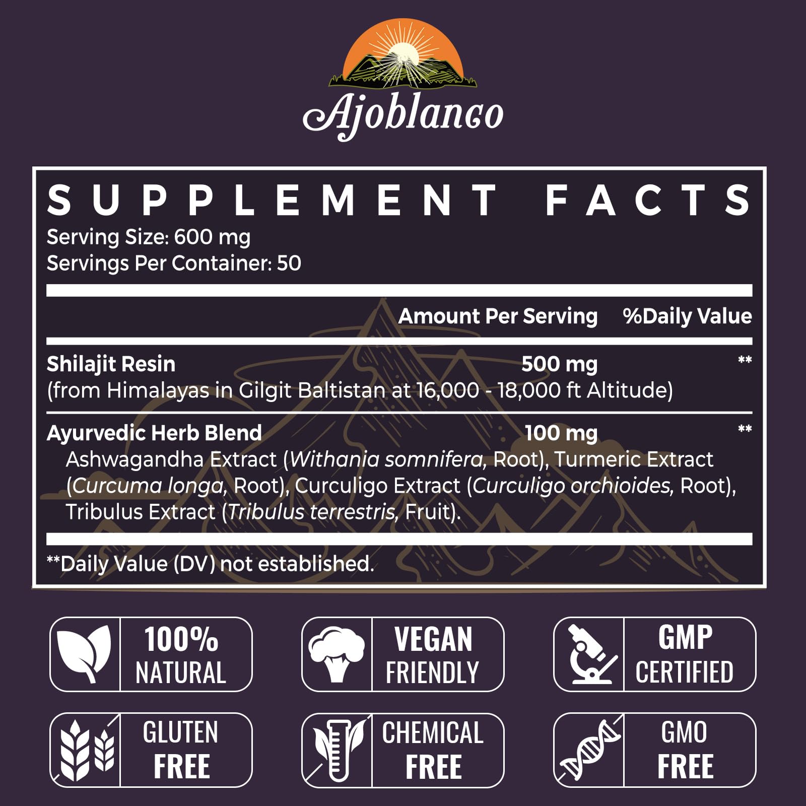 Ajoblanco Himalayan Shilajit Resin close-up highlights rich minerals