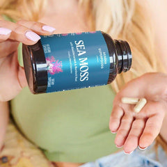 Akasha Sea Moss Capsules bladderwrack visual emphasizes thyroid-support minerals.