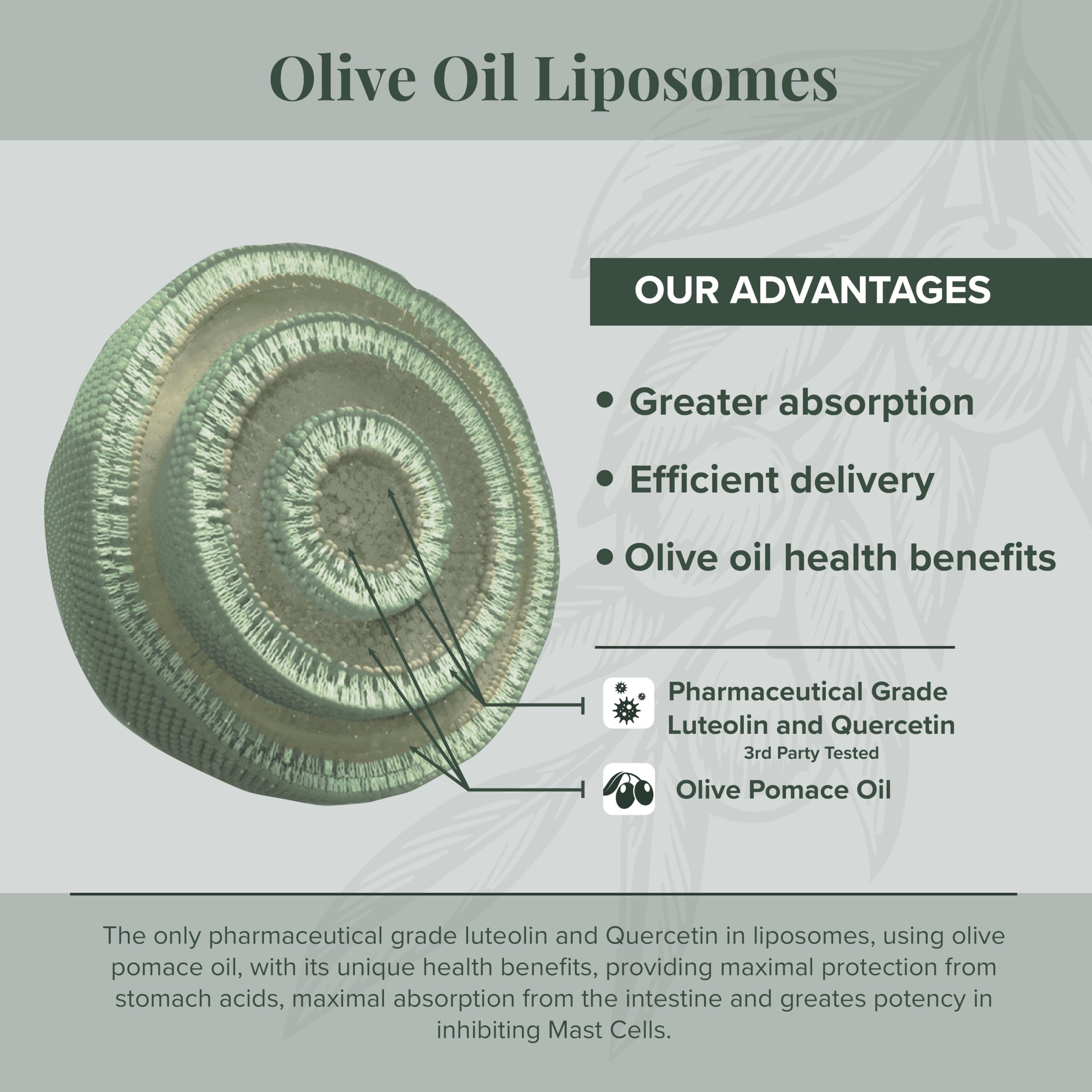 Algonot NeuroProtek luteolin close-up with high-purity flavonoids.