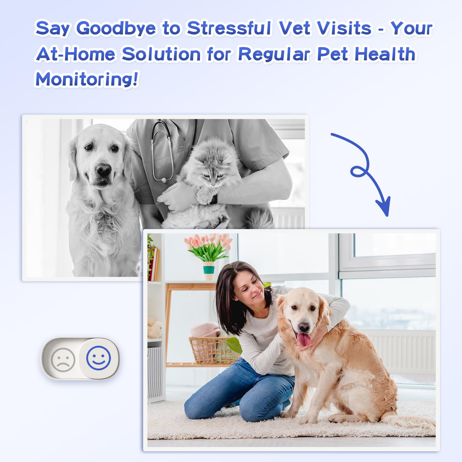 AlievePet 100 count pack ready for ongoing home monitoring.