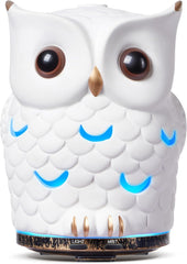 ALIEYE Owl Diffuser ceramic hand-painted close-up highlighting craftsmanship and decor appeal