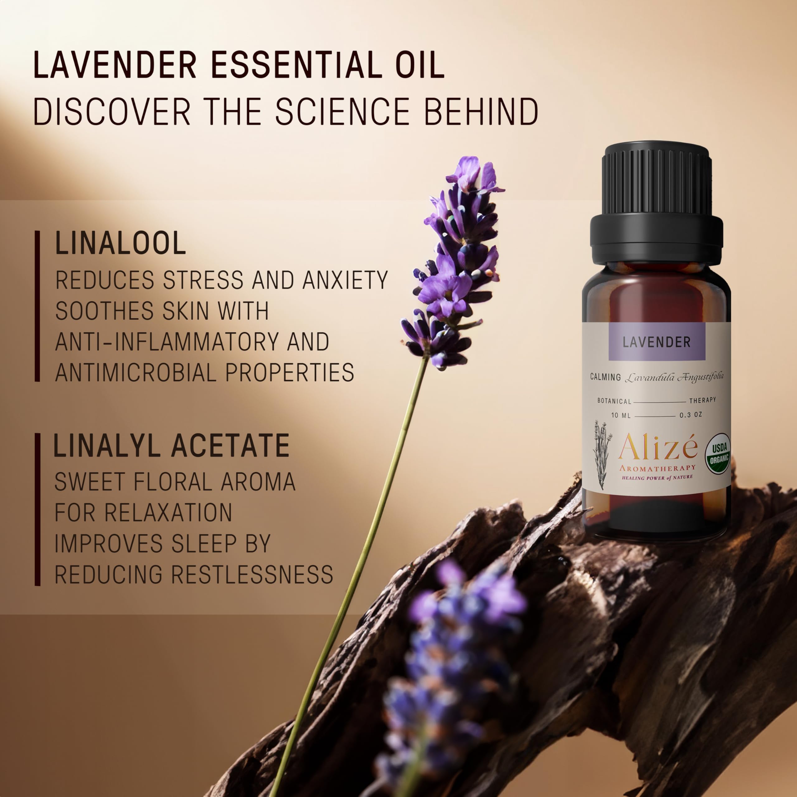 Dark glass bottle protects lavender oil from light for longer freshness.