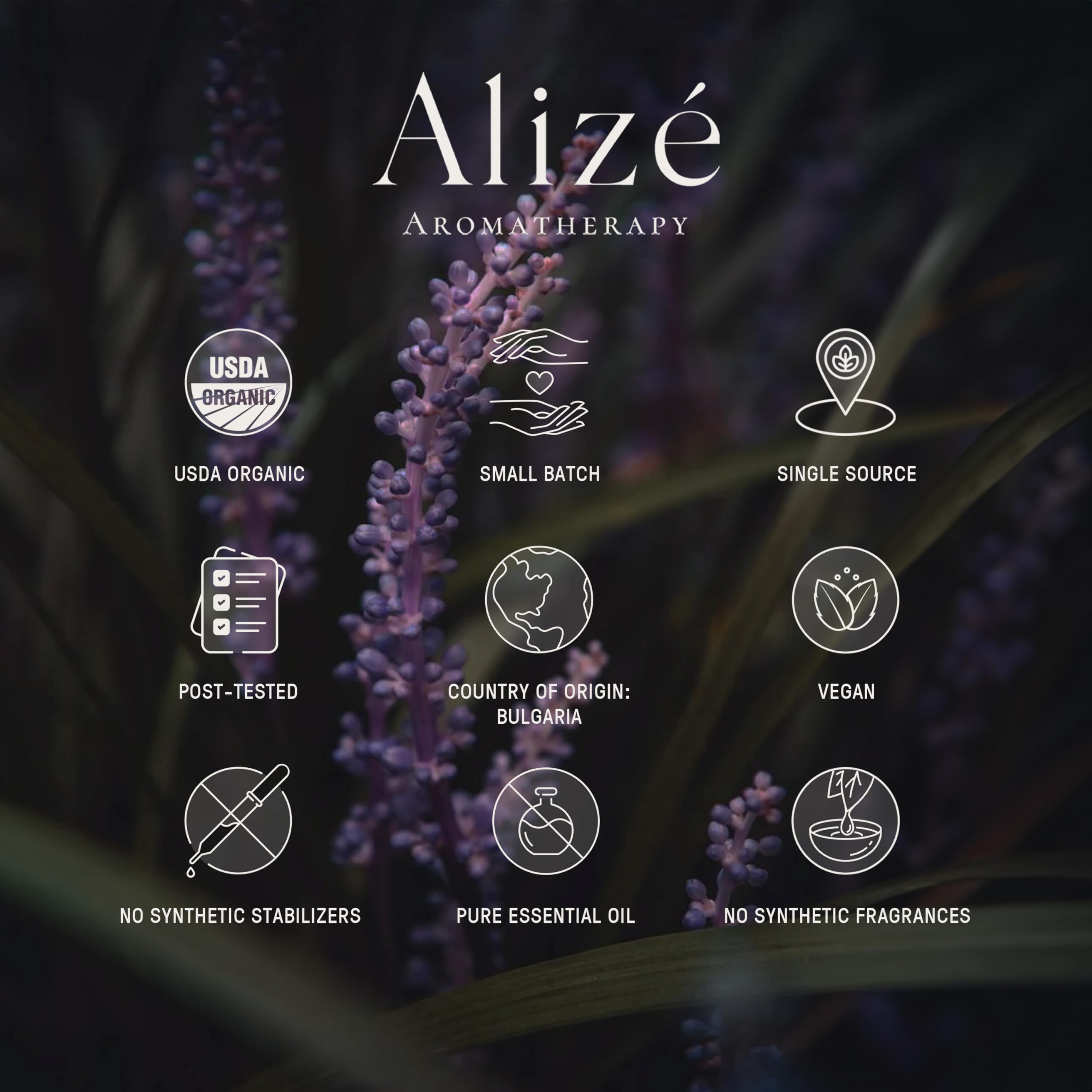 Diffuser scene featuring Alizé lavender oil releasing a soothing aroma.