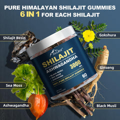 ALLBIZ organic honey-sweetened gummies—natural ingredients visible.