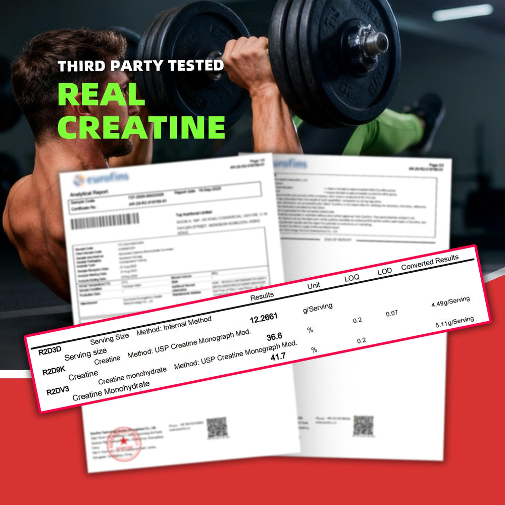 Allcoovita Creatine Gummies bottle with NSF Certified label for trusted quality