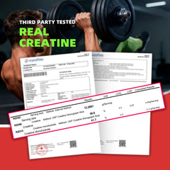 Allcoovita Creatine Gummies bottle with NSF Certified label for trusted quality