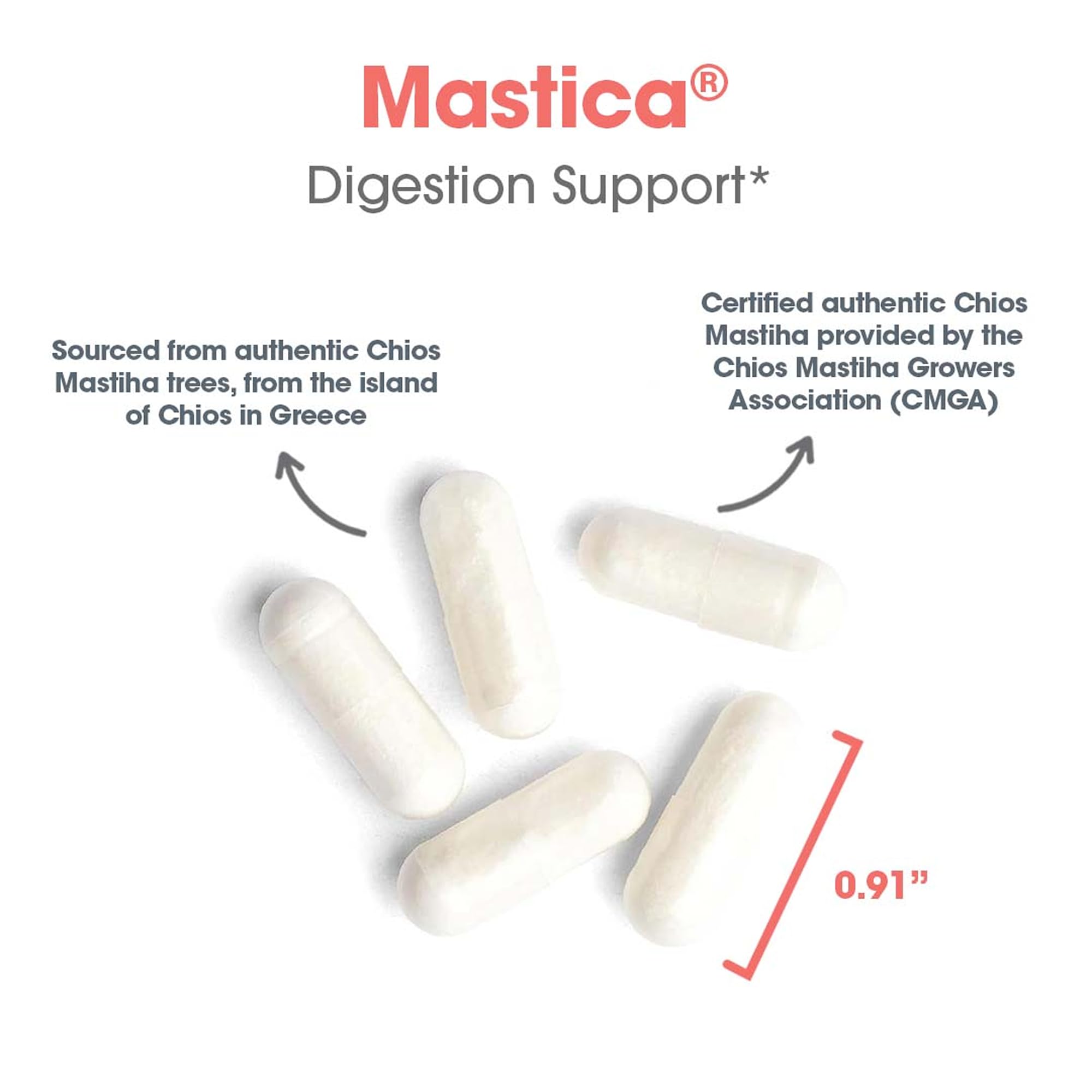 Allergy Research Group Mastica bottle label with Chios Mastiha details for informed selection