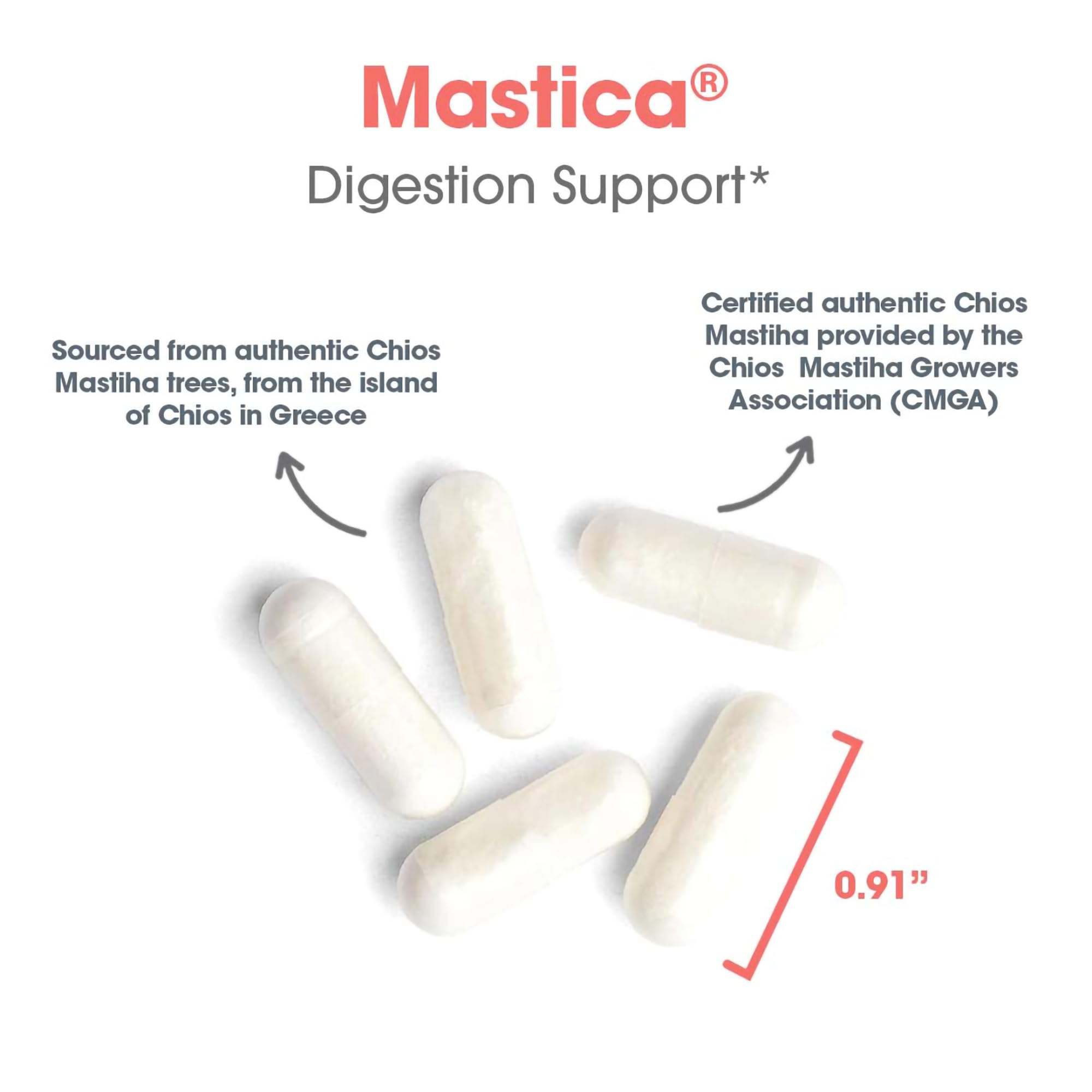 Allergy Research Group Mastica capsules in hand illustrate easy twice-daily dosing