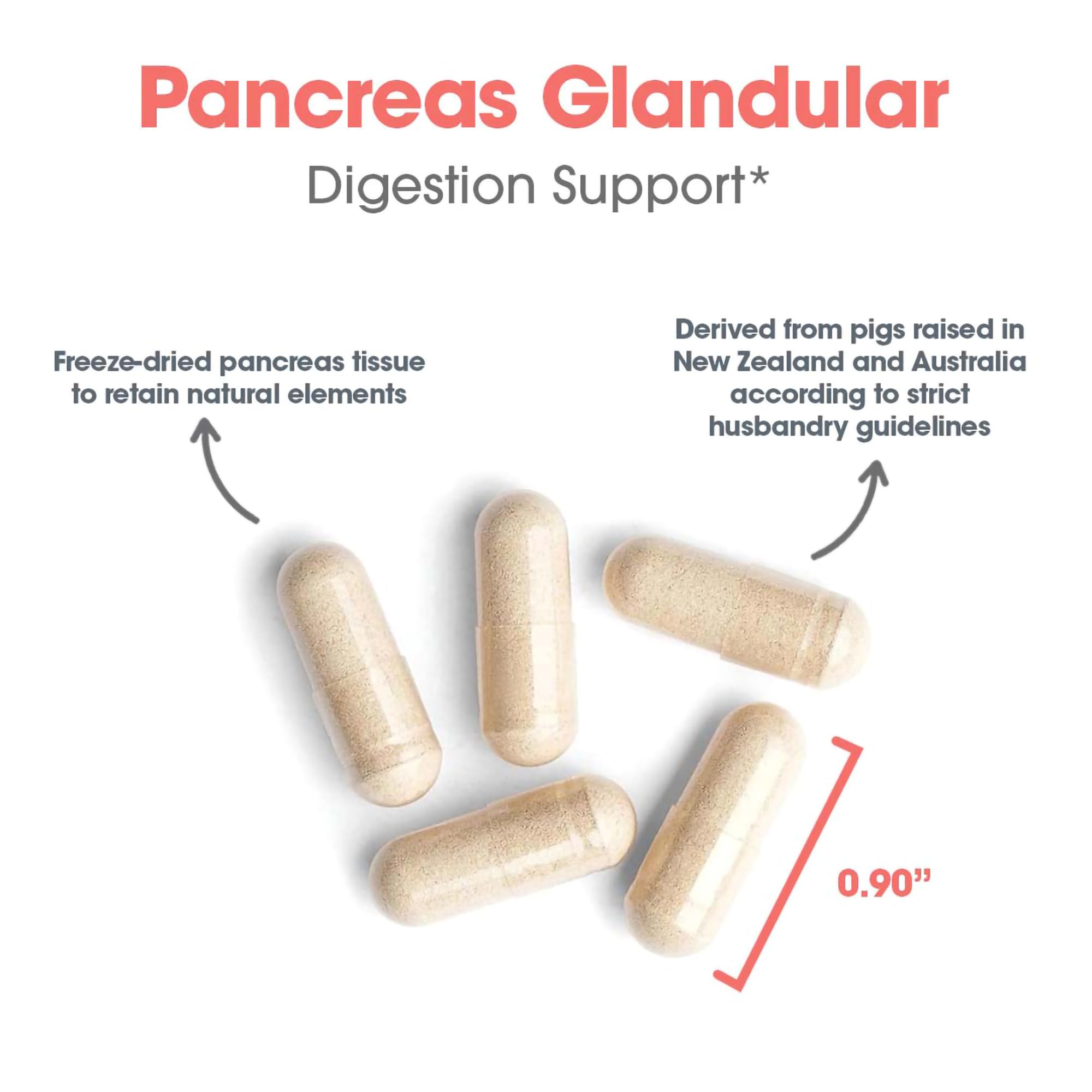 Allergy Research Group Pancreas Pork Supplement lyophilized tissue close-up preserves activity