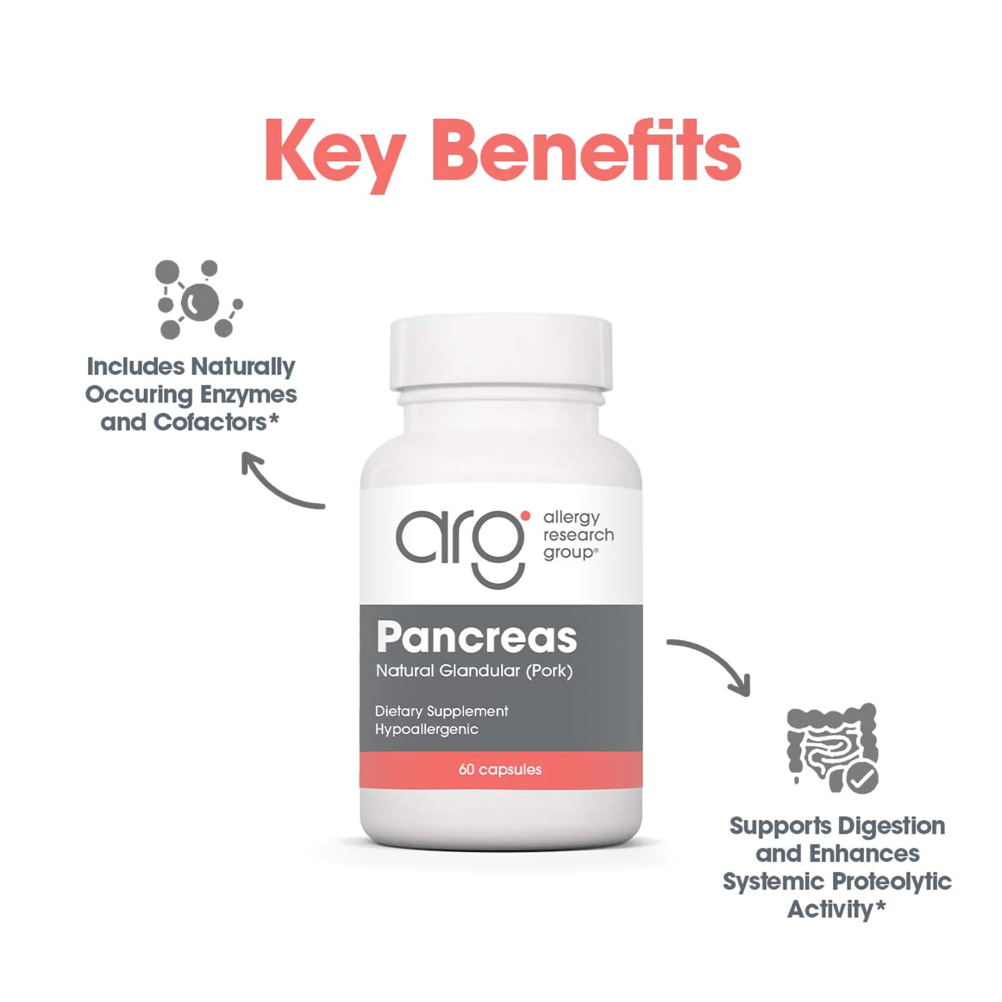 Allergy Research Group Pancreas Pork Supplement pancreas tissue image signals high-quality sourcing
