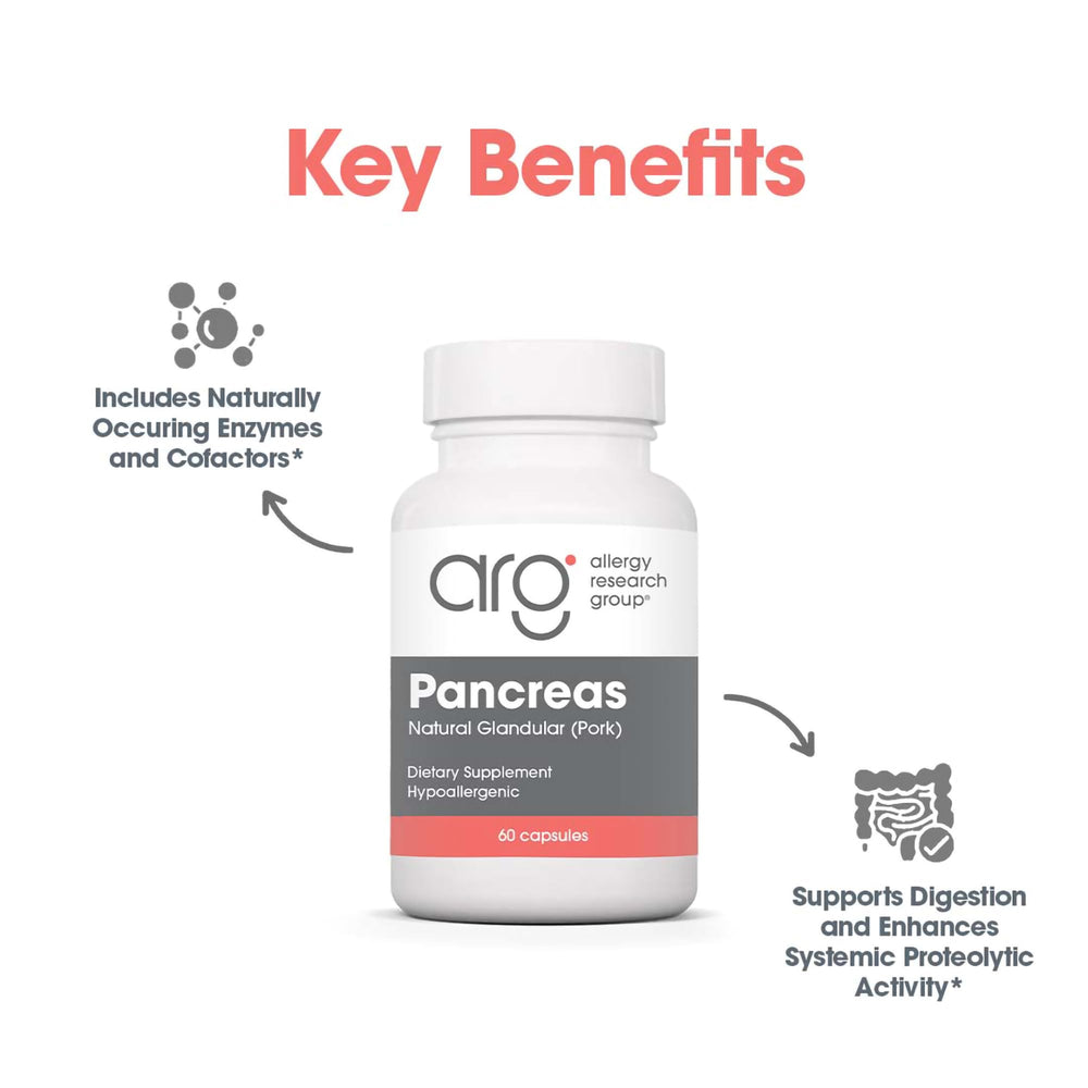Allergy Research Group Pancreas Pork Supplement pancreas tissue image signals high-quality sourcing