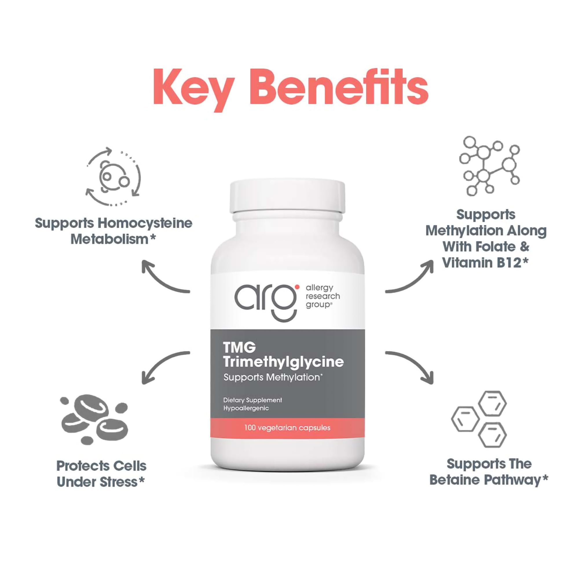 Allergy Research Group TMG powder measure ready for daily use.